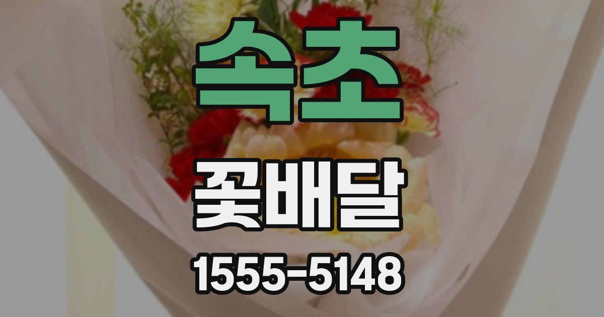 속초 꽃배달