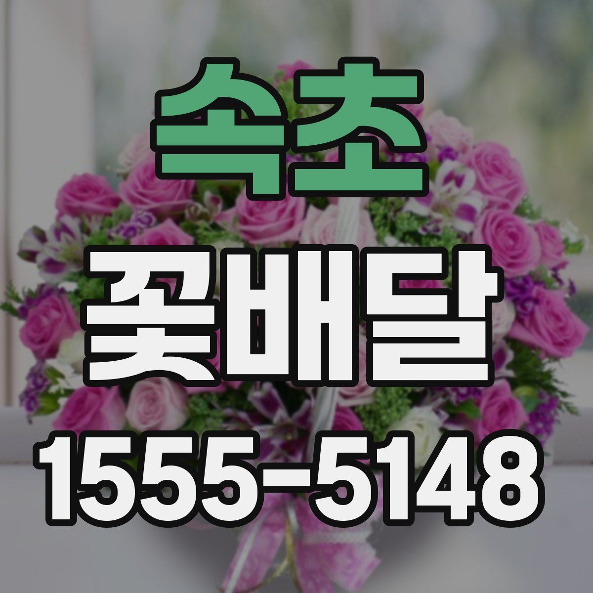 속초 꽃배달