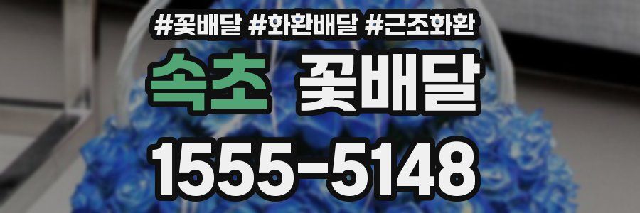 속초 꽃배달