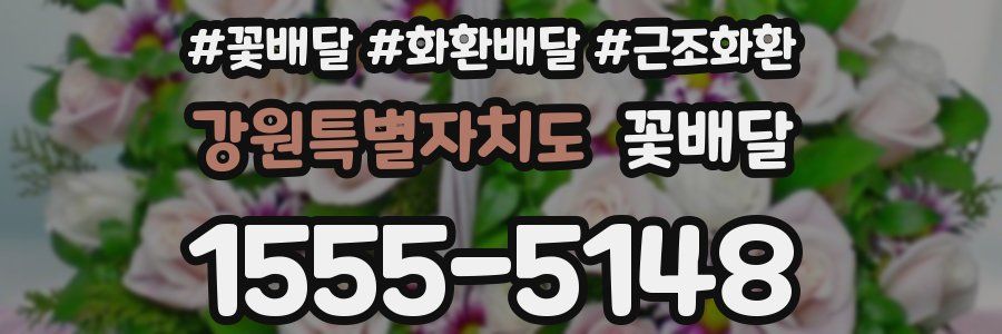 강원특별자치도 꽃배달