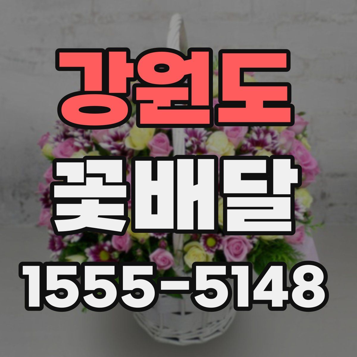 강원도 꽃배달