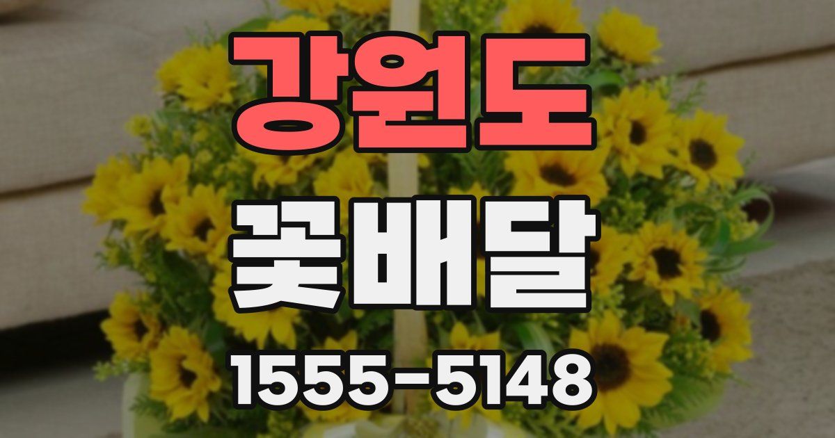 강원도 꽃배달