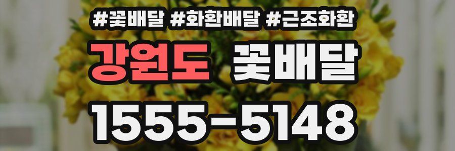 강원도 꽃배달
