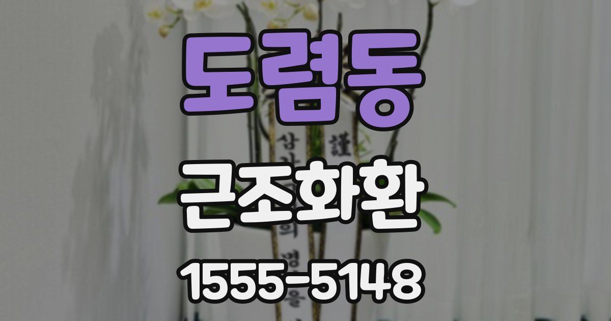 도렴동 근조화환