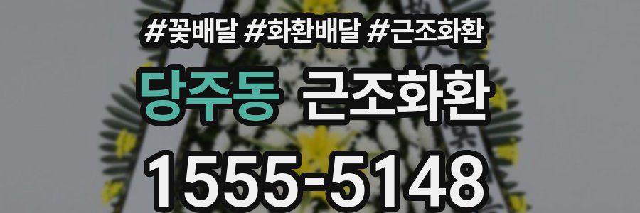당주동 근조화환