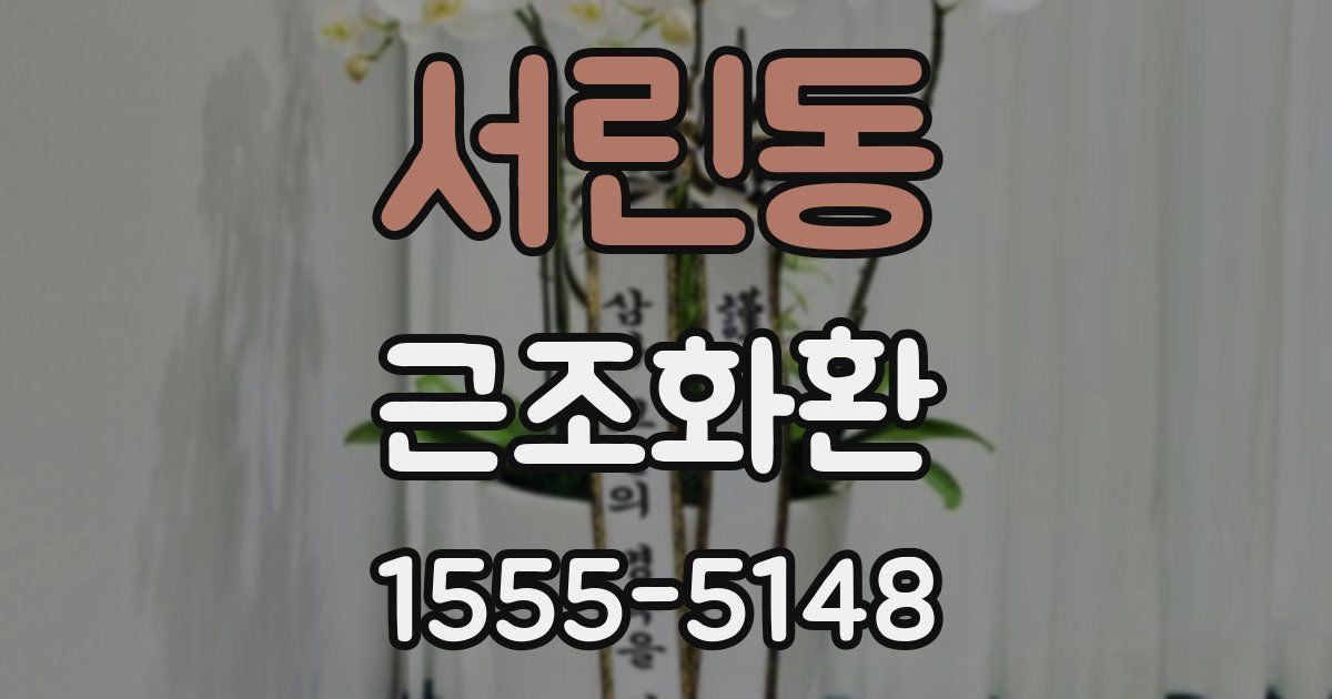 서린동 근조화환