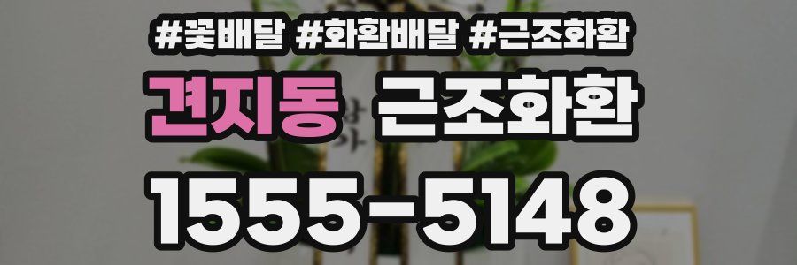 견지동 근조화환