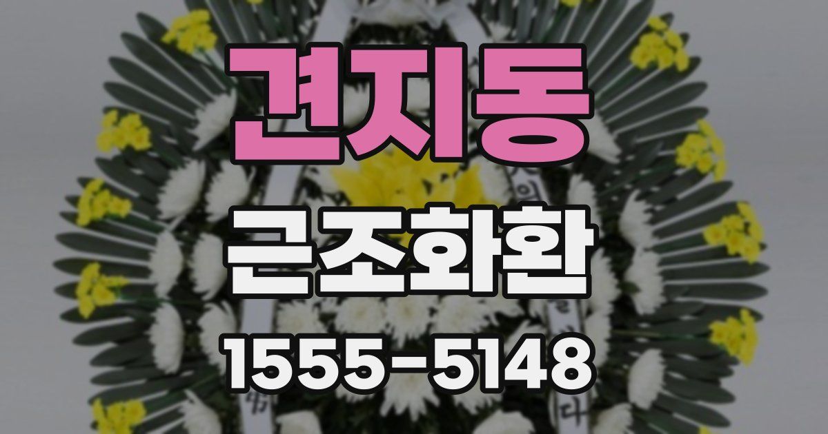 견지동 근조화환