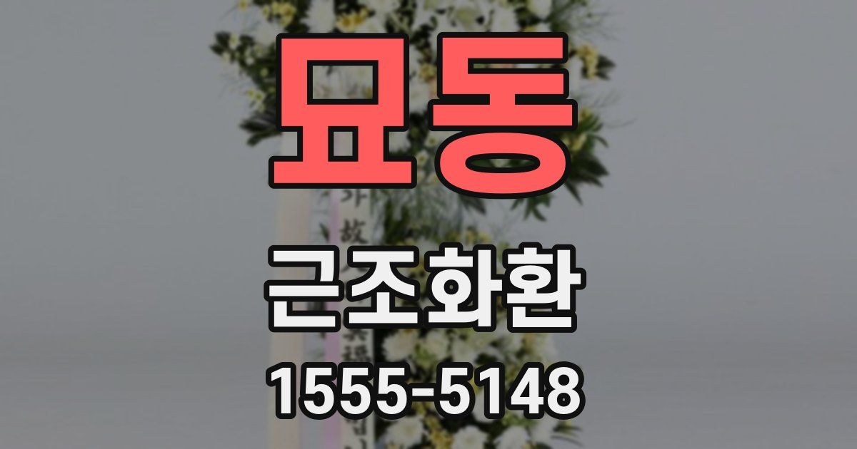 묘동 근조화환
