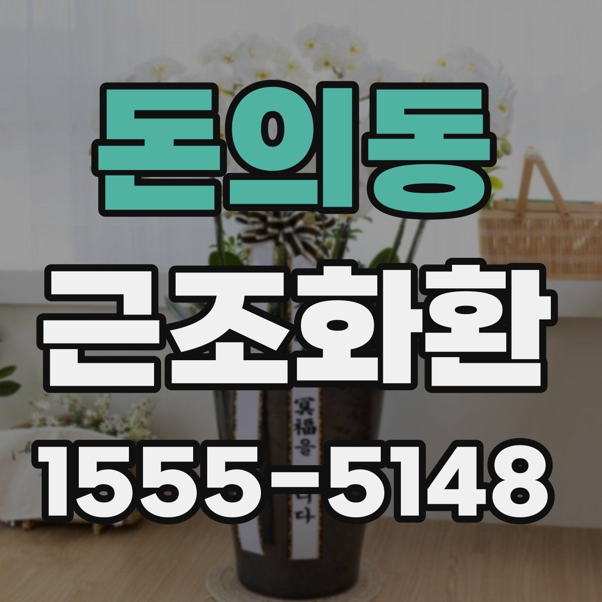 돈의동 근조화환