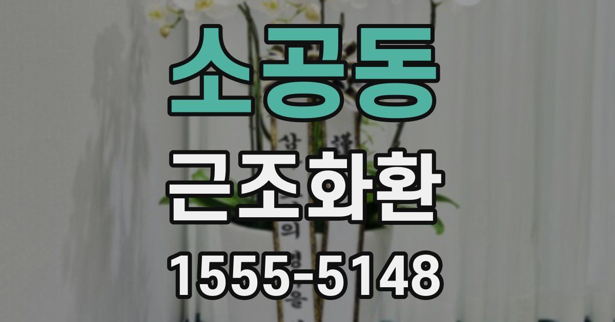 소공동 근조화환