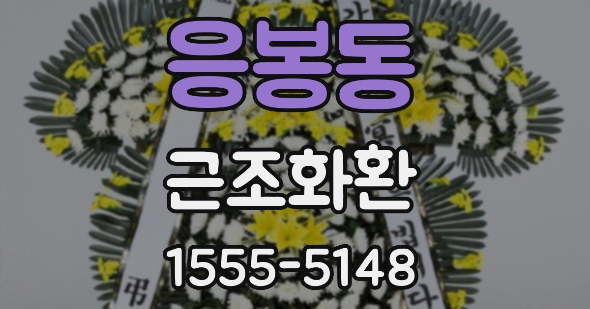 응봉동 근조화환