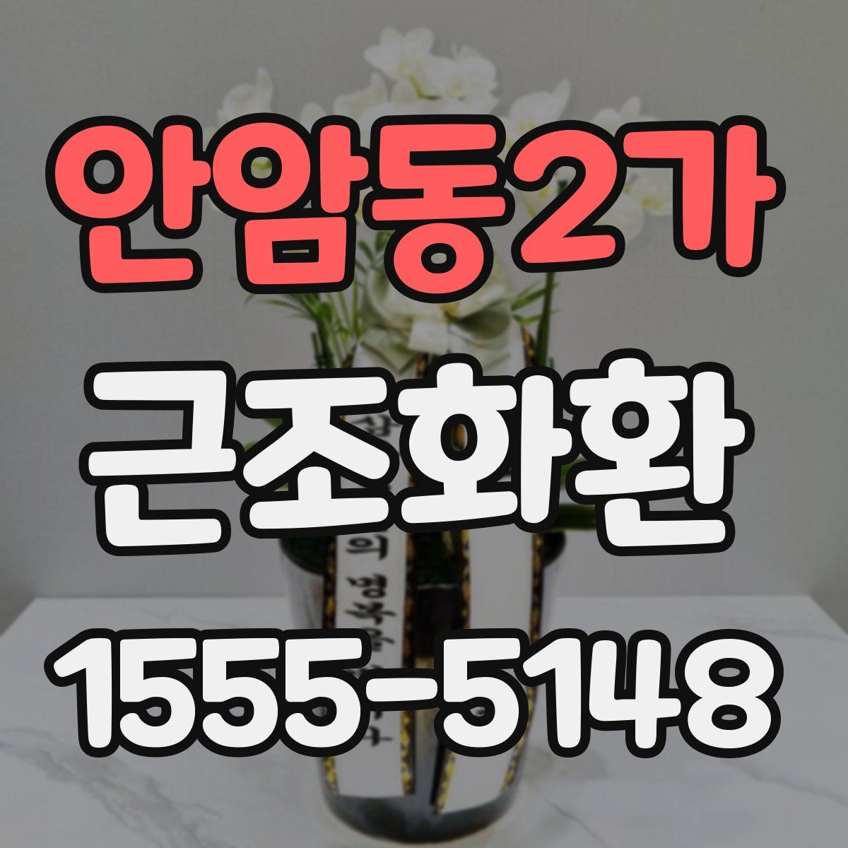 안암동2가 근조화환