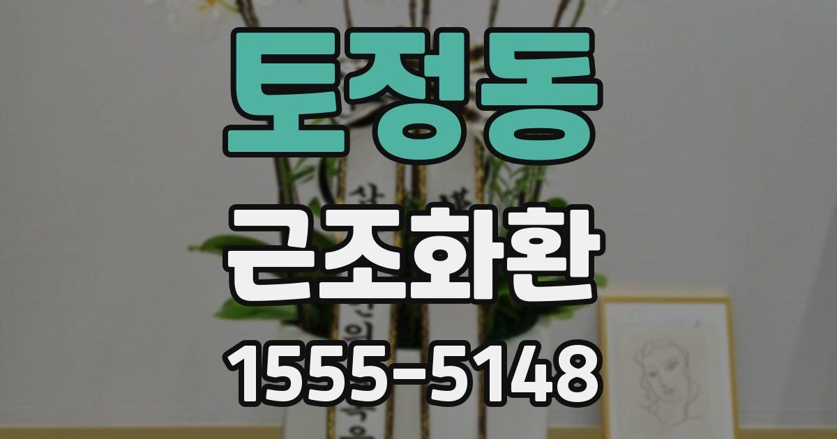 토정동 근조화환