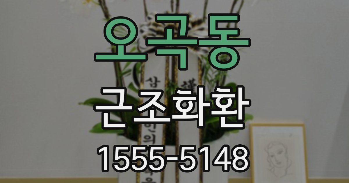 오곡동 근조화환