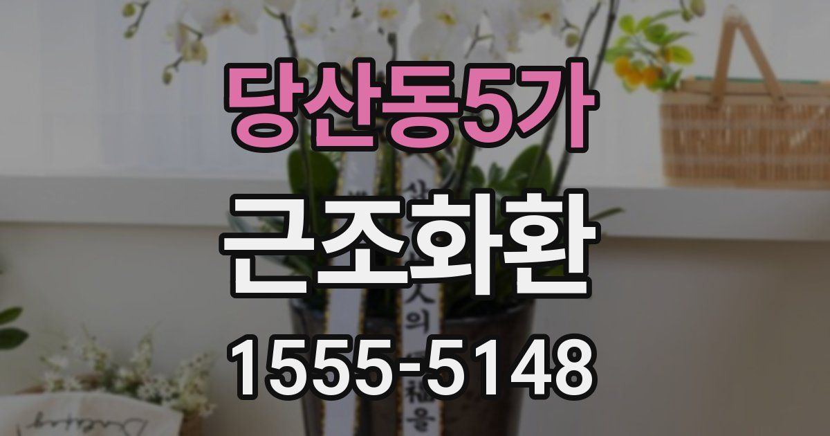 당산동5가 근조화환