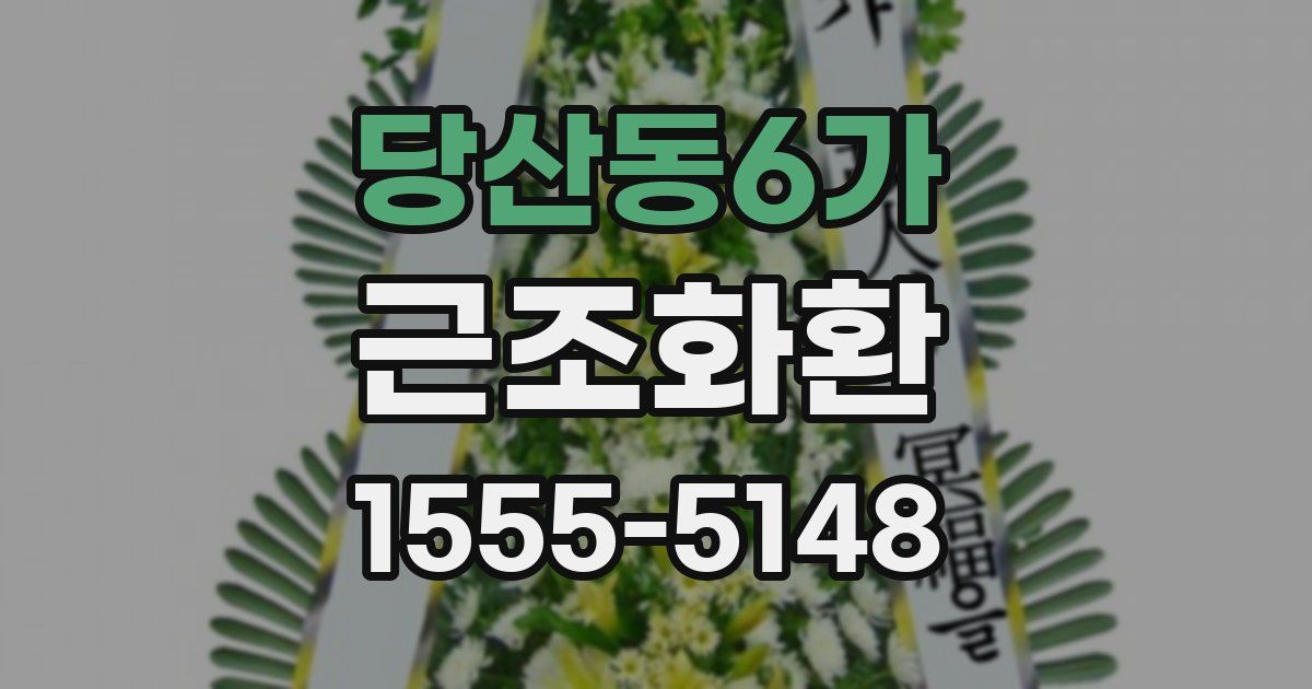 당산동6가 근조화환
