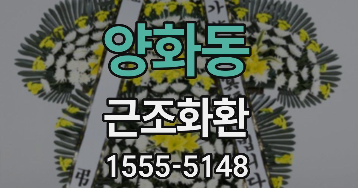 양화동 근조화환