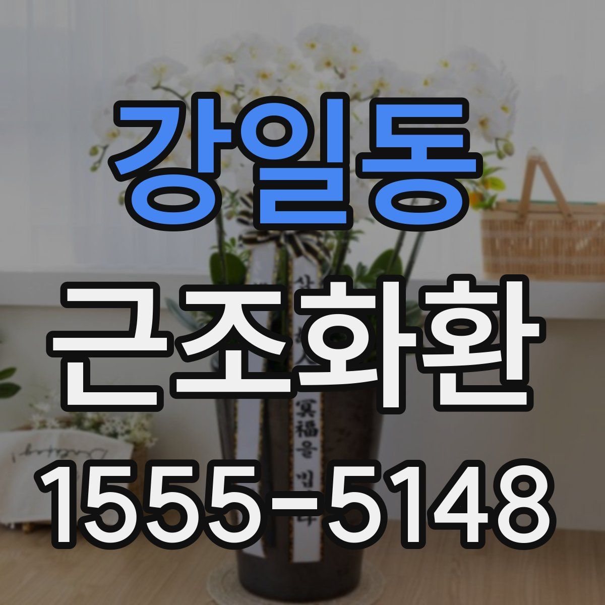 강일동 근조화환
