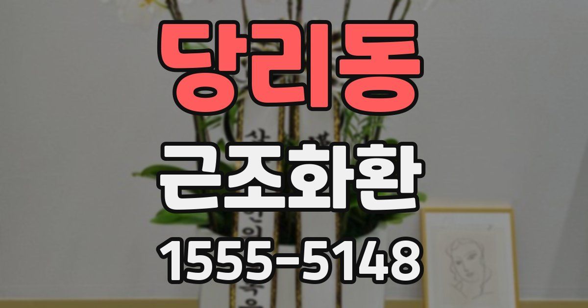 당리동 근조화환
