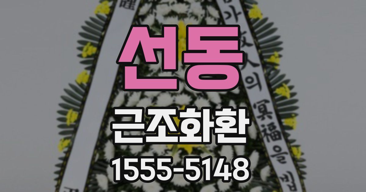 선동 근조화환