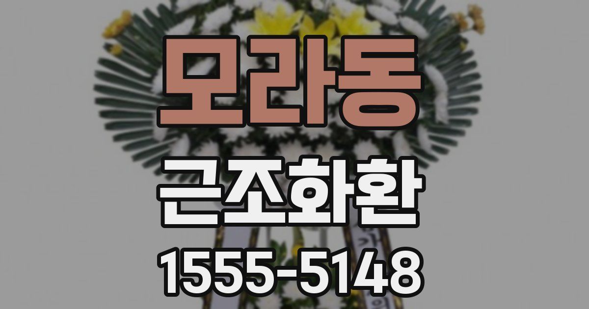 모라동 근조화환
