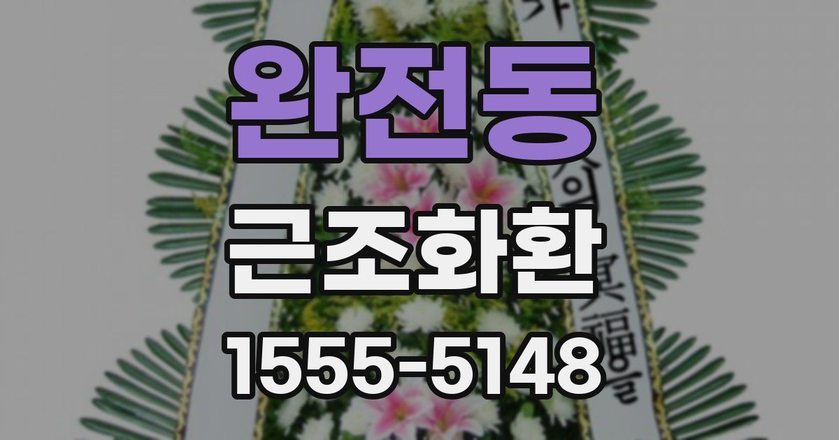완전동 근조화환