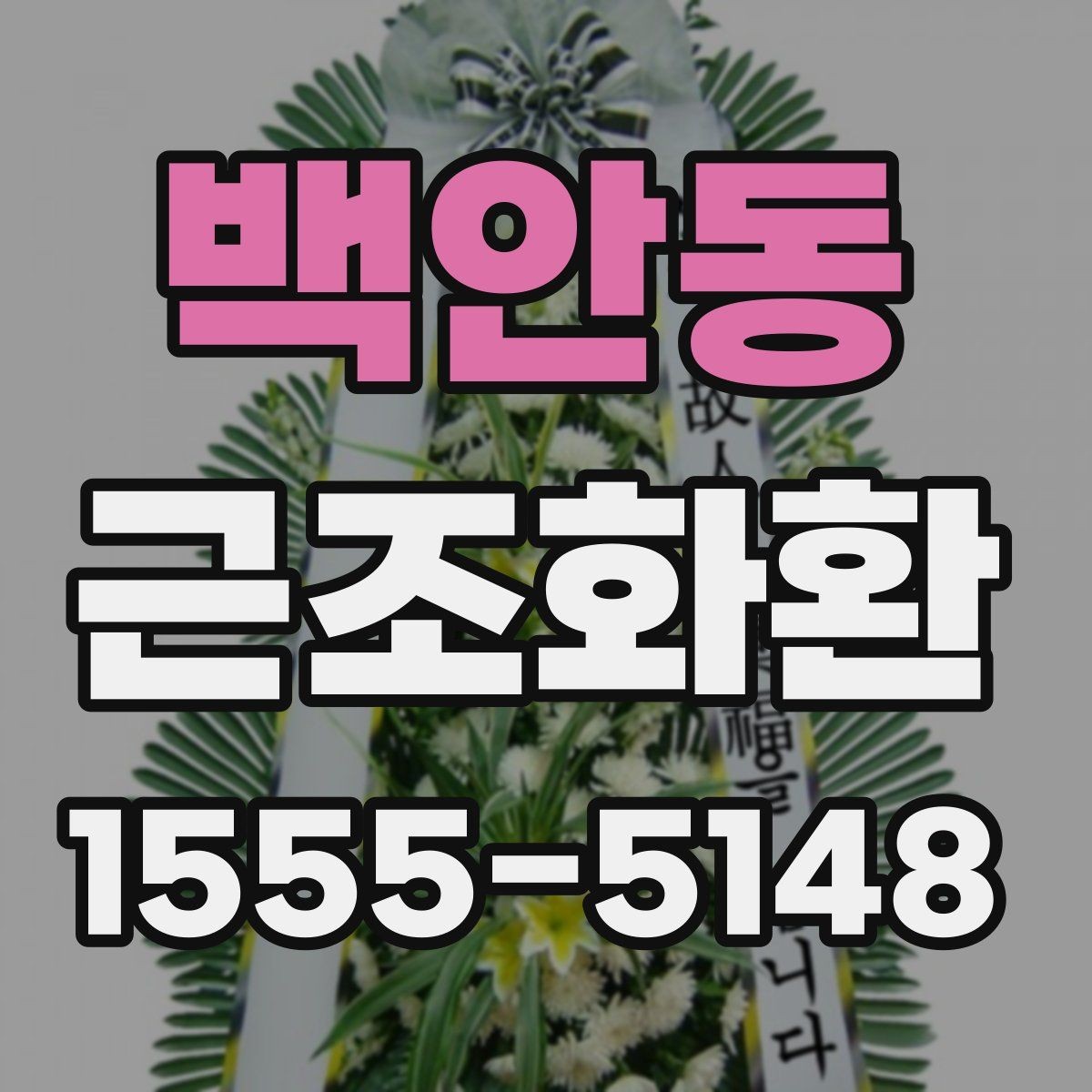 백안동 근조화환 가격대별 구성 차이와 선택 방법