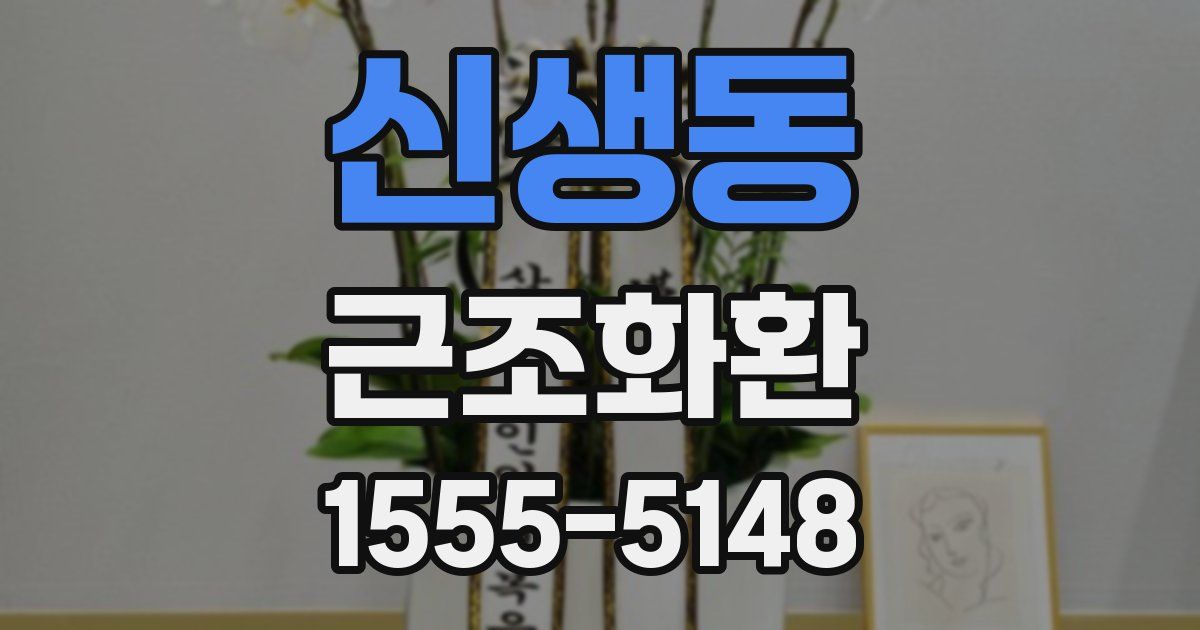 신생동 근조화환