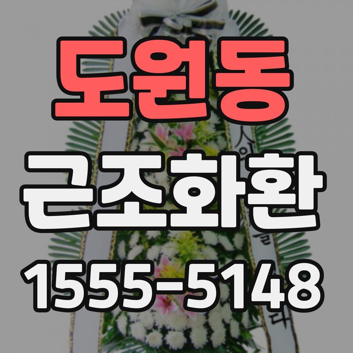 도원동 근조화환 지역 내 당일 배송 가능 여부 확인하기