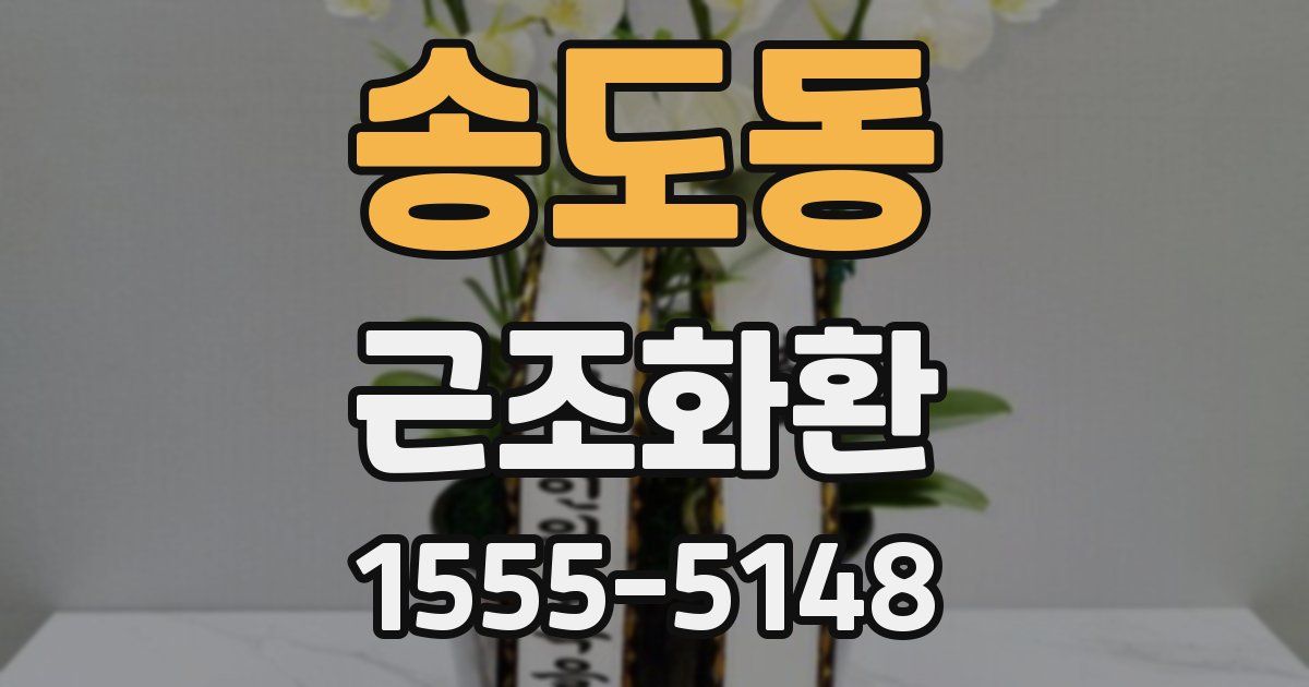 송도동 근조화환