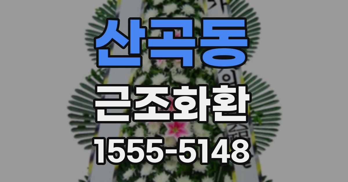 산곡동 근조화환