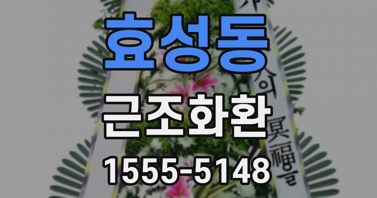 효성동 근조화환