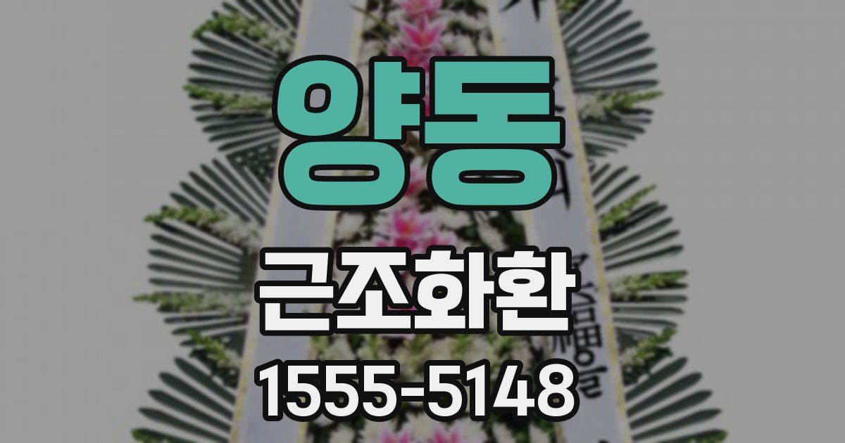 양동 근조화환
