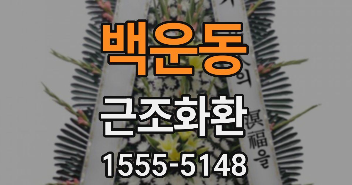 백운동 근조화환