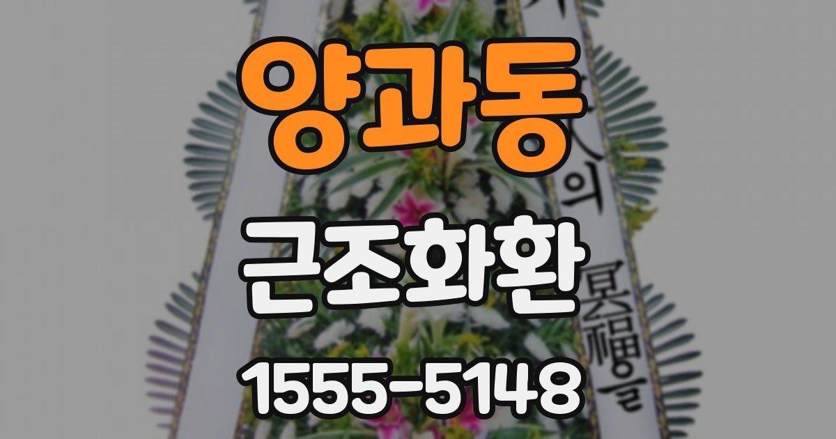 양과동 근조화환