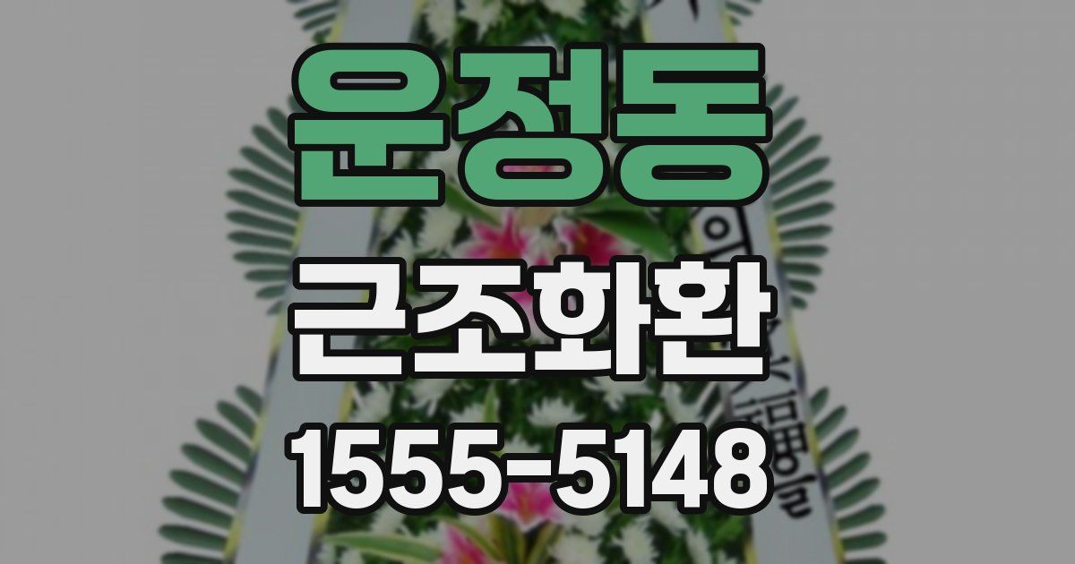 운정동 근조화환
