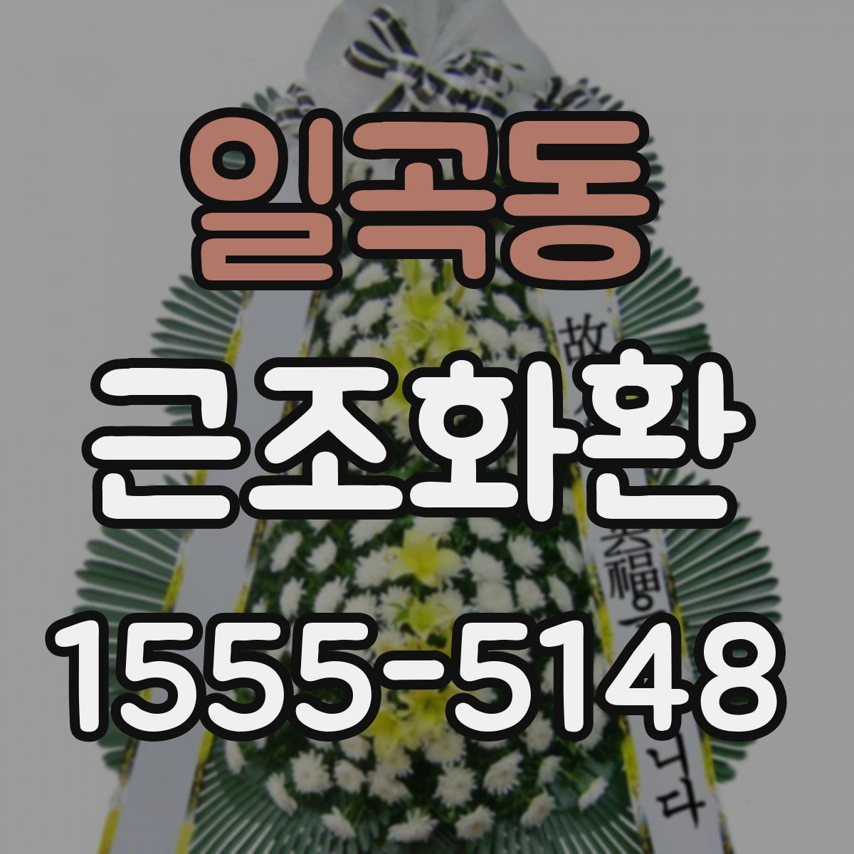 일곡동 근조화환