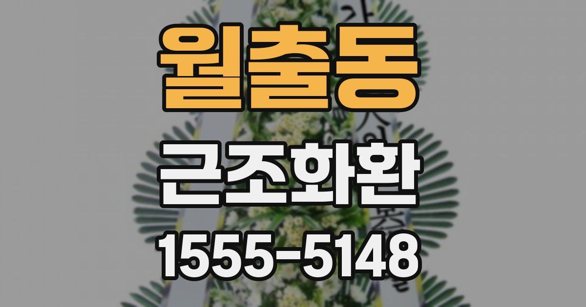 월출동 근조화환