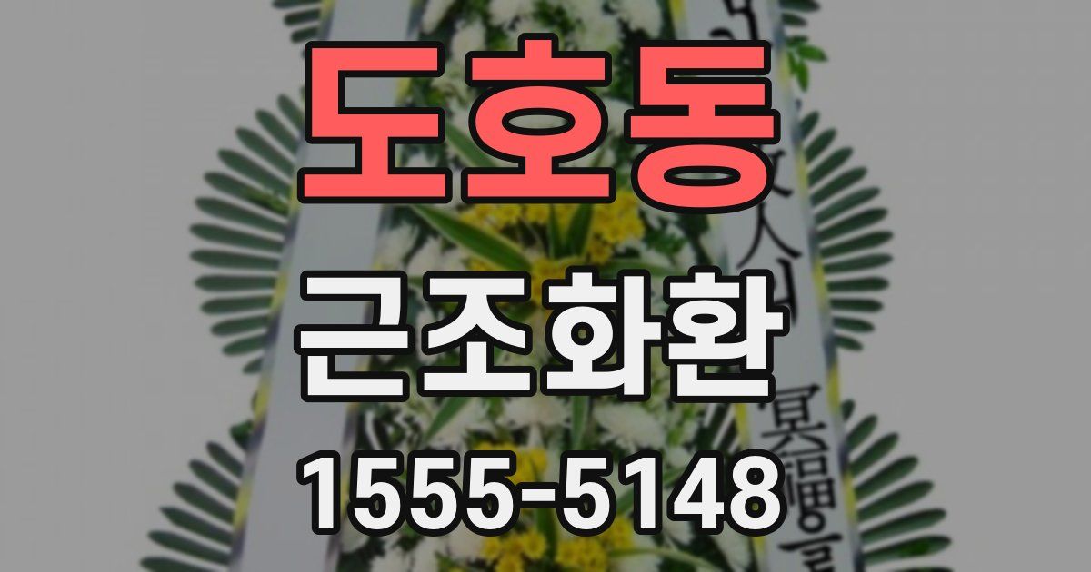 도호동 근조화환