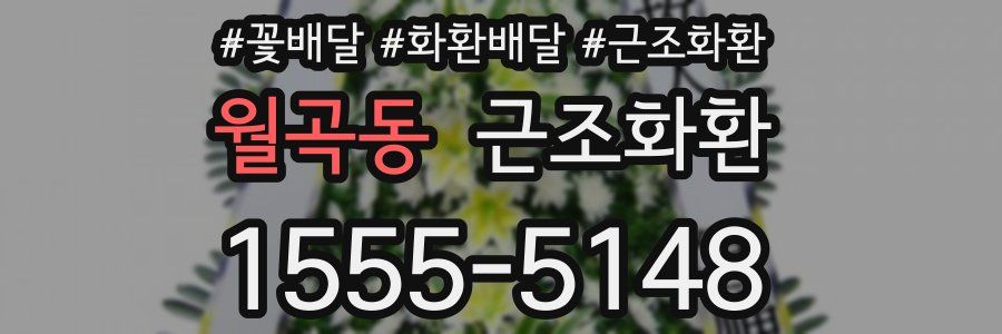 월곡동 근조화환