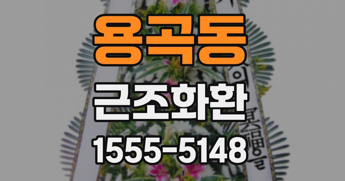 용곡동 근조화환