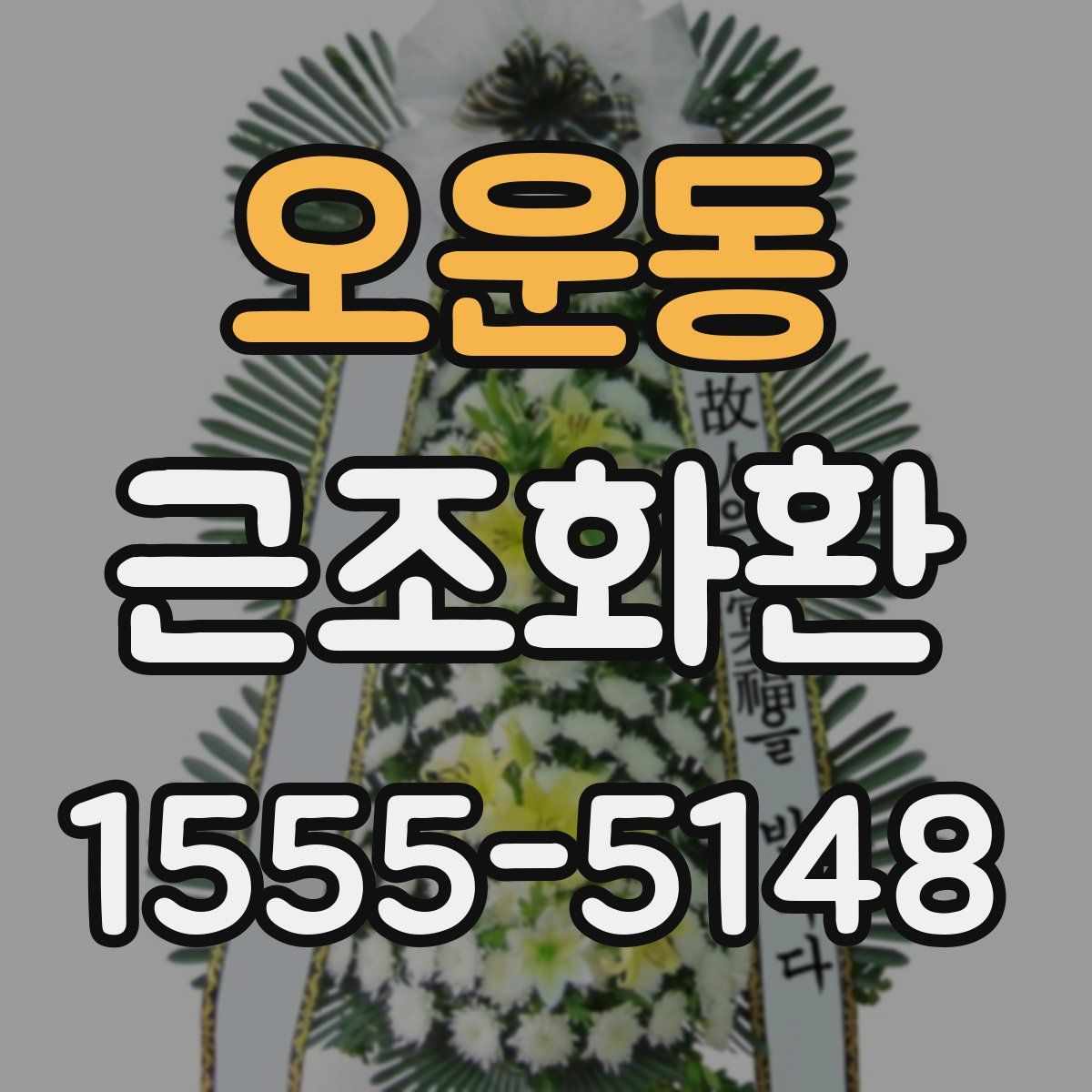 오운동 근조화환