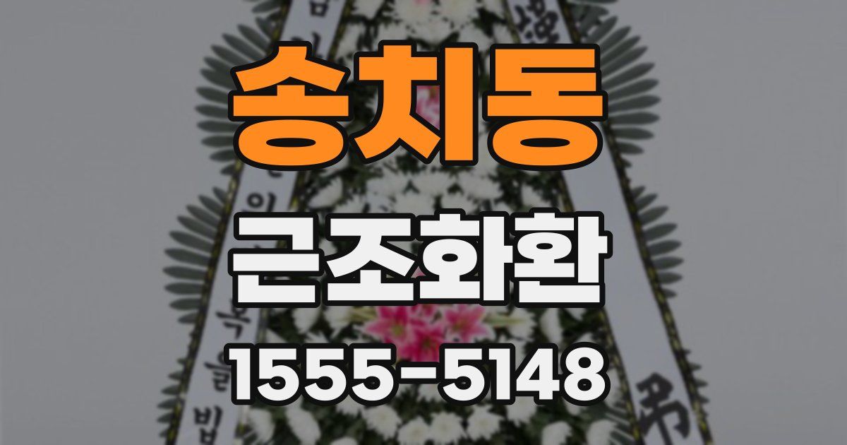 송치동 근조화환