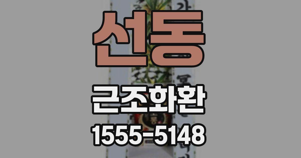 선동 근조화환