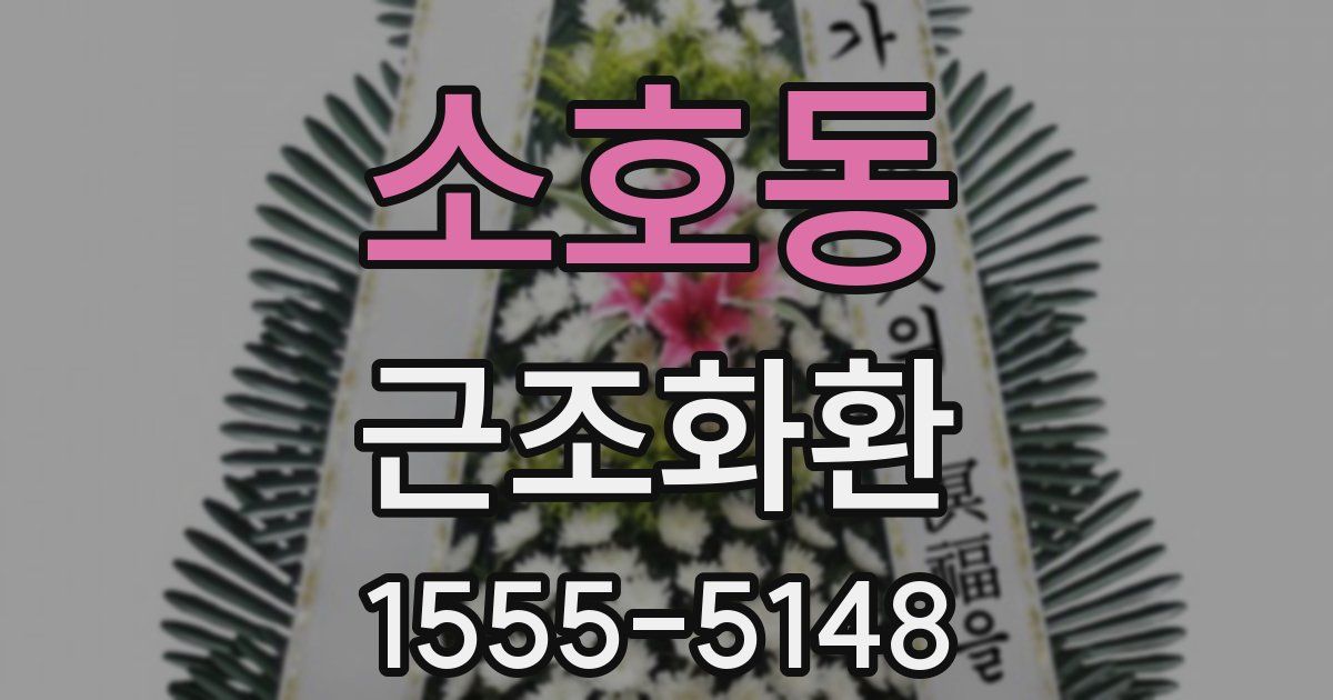 소호동 근조화환