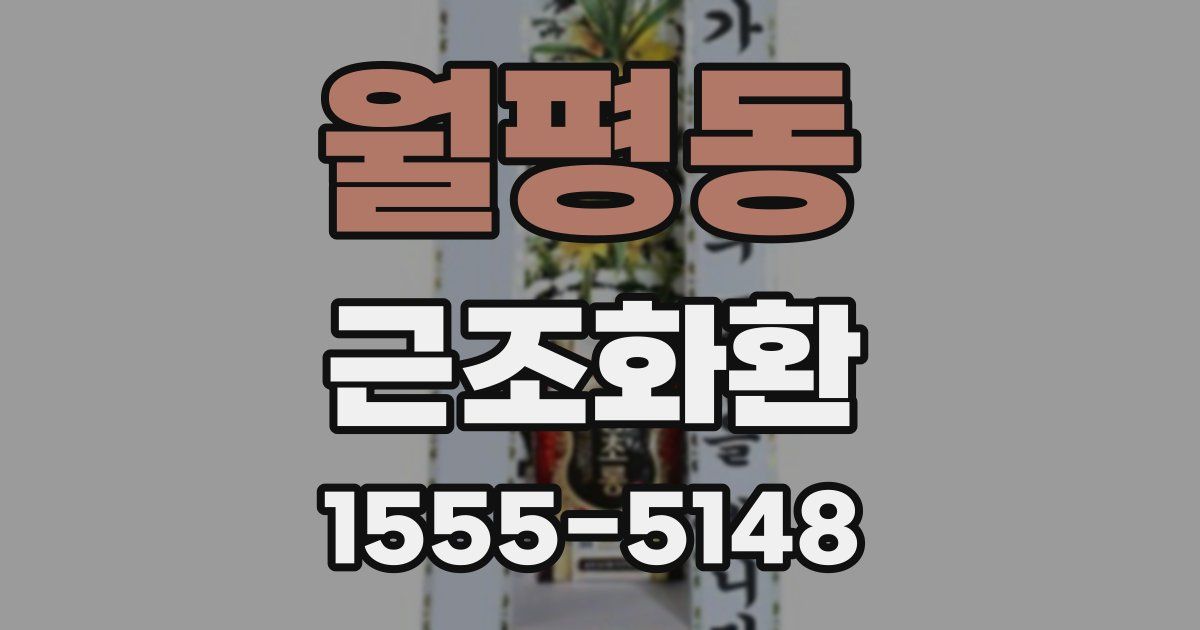 월평동 근조화환
