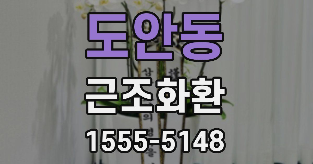 도안동 근조화환
