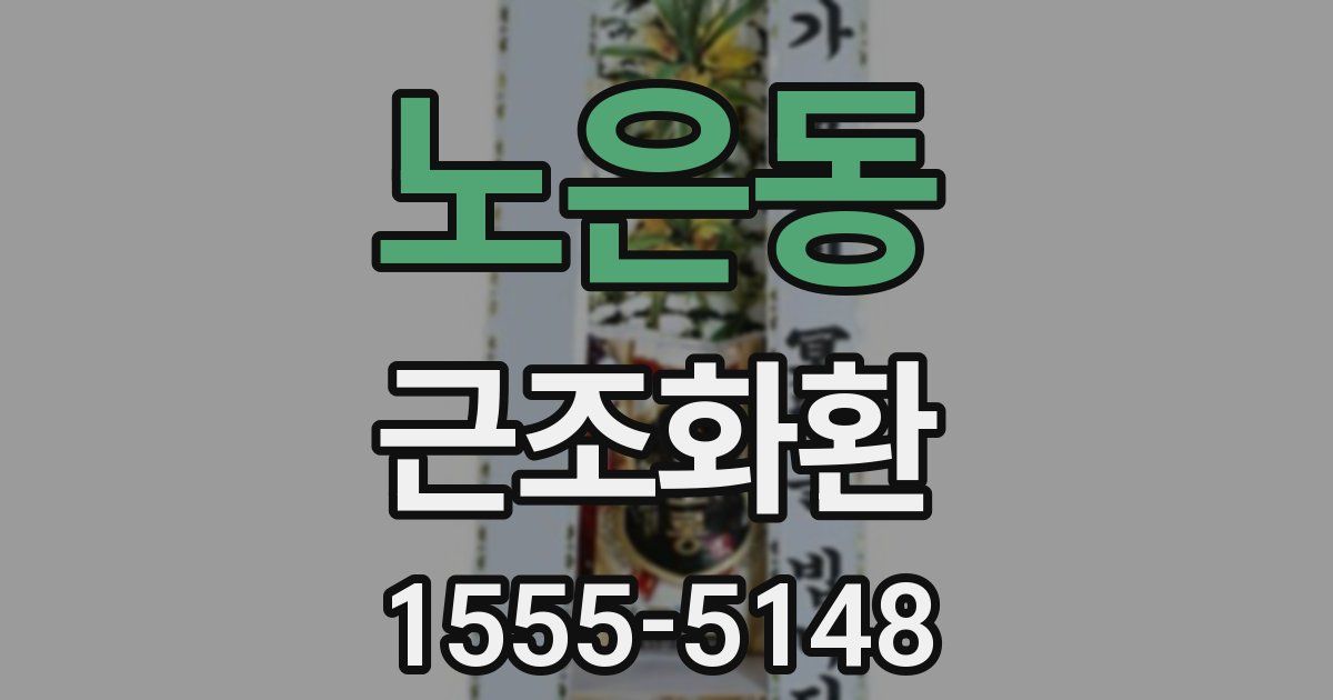 노은동 근조화환