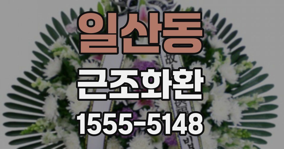 일산동 근조화환
